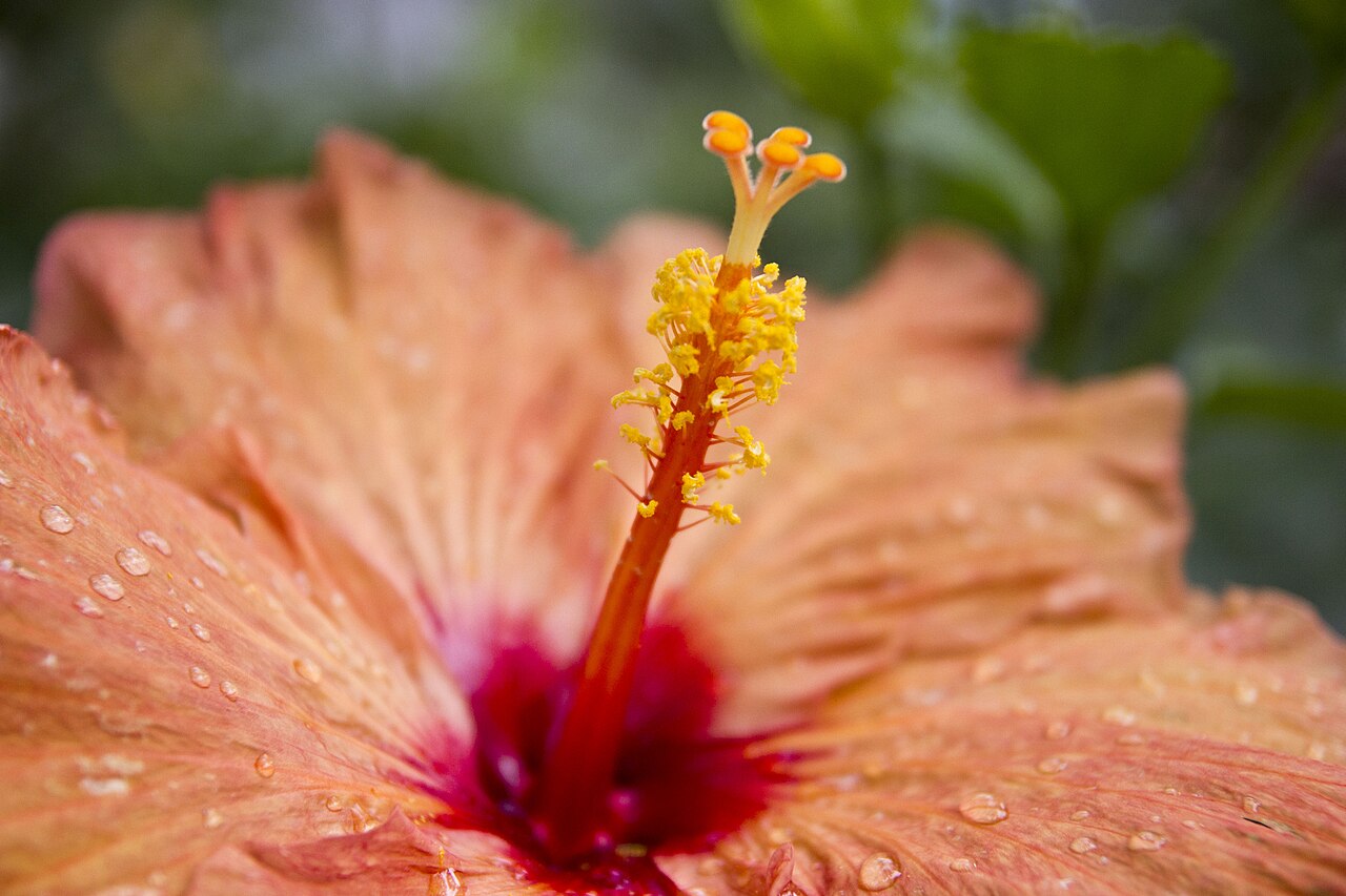 Jardín Botánico botanical garden in Medellin
