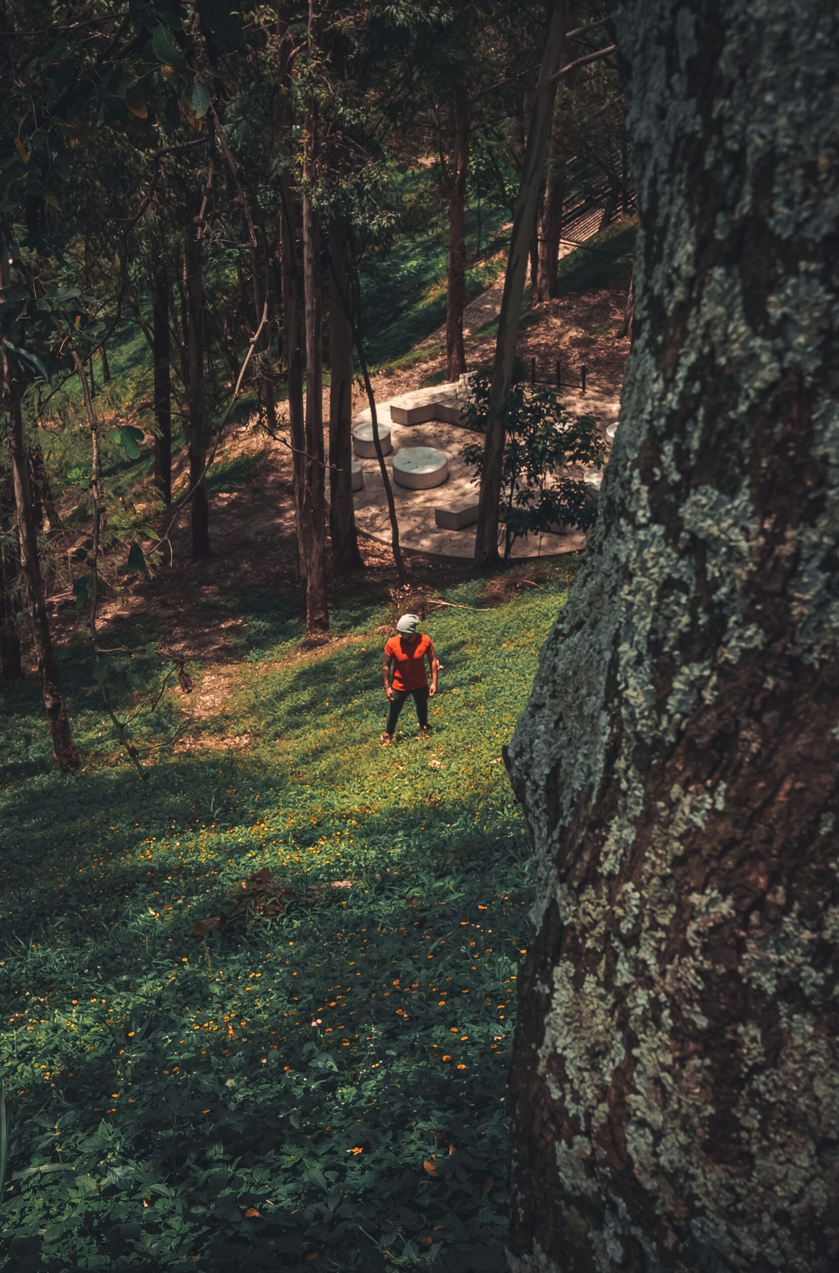 Parque Arví Medellín naturaleza senderismo