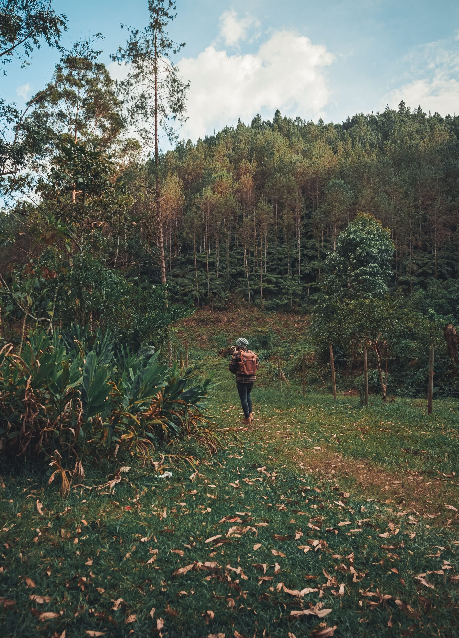 Sendero Parque Arví bosque Medellín